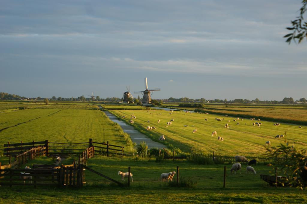 Hoeve Suydeinde Aarlanderveen Buitenkant foto